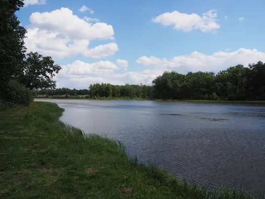 Fietsen en wandelen door het water van de Wijers, Bokrijk (België)